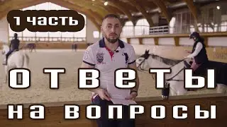 Ответы на вопросы. Страх верхом на лошади. Нервный конь. Конь без хлыста, но с посылами ленится.