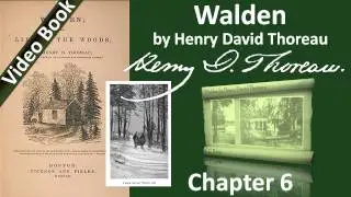 Chapter 06 - Walden by Henry David Thoreau - Visitors