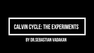 Calvin cycle:  The experiments