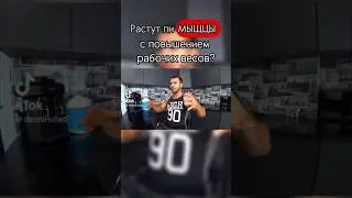 1 марта 2024 г.