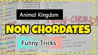 Animal kingdom Examples Tricks | Funny Tricks | Non Chordates | NEET 2025