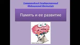 Память и ее развитие