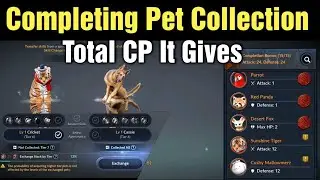 Black Desert Mobile Completing Pet Collection & Total CP You Get