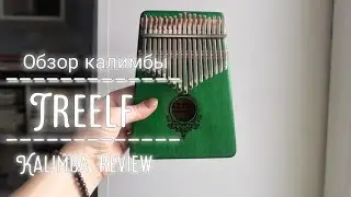 Обзор калимбы Treelf | kalimba review
