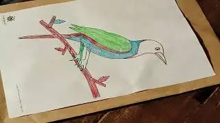 Multiple Colour Practice on a Bird - BDIQ || Day 02