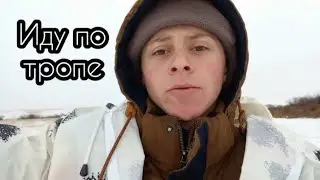 Охота на косулю по первому снегу. Где искать косуль. Нашел тропу зайца беляка