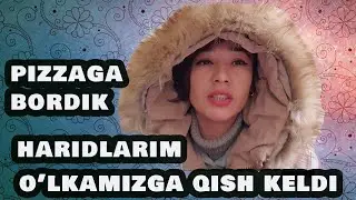 UY UCHUN HARIDLARIM  / JUDA AJOYIB QOR YOG'YAPTI / TOSHKENTGA BORDIM / UZB VLOG
