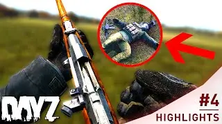 Hitting 2 INSANE Shots with IRON SIGHTS - DayZ