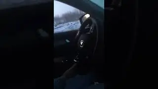 Лоси атакуют