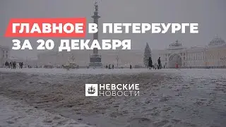 Дайджест главных новостей Петербурга за 20 декабря