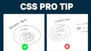 CSS Box Sizing Tutorial: How to Use Border Box for Perfect Layouts