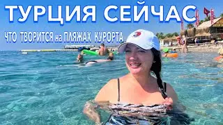 Турция 2024. ВОТ это ПОВОРОТ❗️Такого ПЛЯЖА я не ОЖИДАЛА❗️Miramor Garden 4*. Кемер сейчас