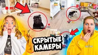 ЧТО Сняли СКРЫТЫЕ КАМЕРЫ В ДОМЕ?! ТАЙНАЯ ЖИЗНЬ ДОМАШНИХ ЖИВОТНЫХ! Наша РЕАКЦИЯ