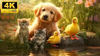 Wild Babies 4K (60FPS) - Soothing Music In Nature Scenes, Cute Animals Video For Relax