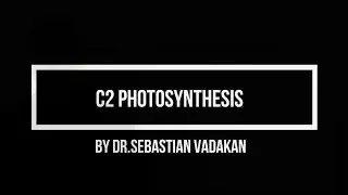 C2 Photosynthesis: Part 2