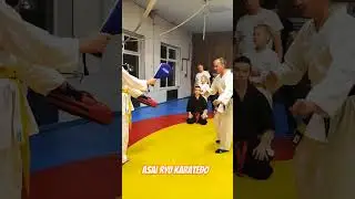 Техника работы ног. Asai Ryu karatedo. 