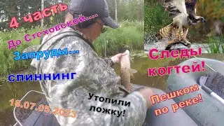 Fishing for spinning.07/18/2023. We go to Stekhovskaya. The beavers are brazen! Spoon!