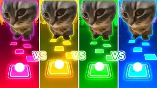 Chipi Chapa Cat vs Chipi Chapa Cat vs Chipi Chapa Cat vs Chipi Chapa Cat - Tiles Hop EDM Rush