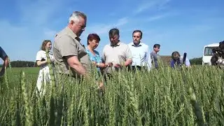 2023 06 24 Объезд полей хозяйств Лысковского округа