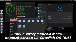 Cutefish OS (0.6) первый взгляд на linux с яблочным привкусом