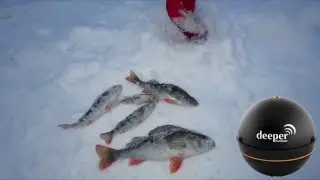 Эхолот Deeper на зимней рыбалке