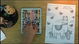 Color a picture of a camel
