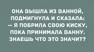 - Я побрила свою киску.  Юмор! Позитив! Анекдоты