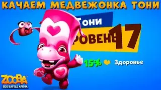 КАЧАЕМ МЕДВЕЖОНКА ТОНИ НА 17 УРОВЕНЬ В ИГРЕ ZOOBA