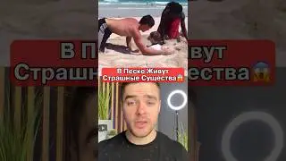На Каждом Пляже Живут Эти ЧЕРВИ‼️😱