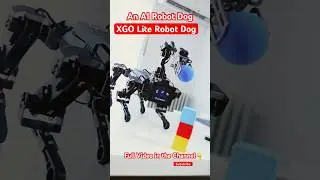 XGO Lite AI Robot @elecfreaks #robotics #robots #ai #raspberrypi #python #electronics #diyrobotics