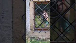 Traumschloss Schönfeld / Short