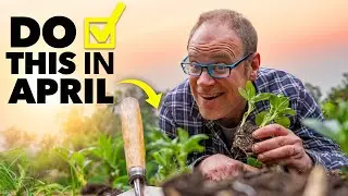 Don't Miss Spring: Do These April Garden Tasks Now!