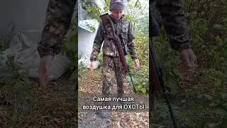 Лучшая пневматика для ОХОТЫ на УТОК и даже КОСУЛЬ 