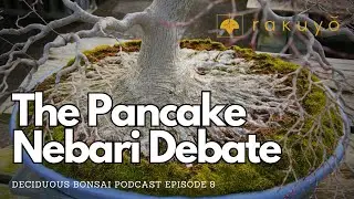 What's the deal with Pancake Nebari (roots) - Deciduous Bonsai Podcast Episode 8