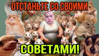 НАЧИНАЕМ ВСЕ СНАЧАЛА! ПИРАТСКАЯ ЖИЗНЬ. ОБЗОР.