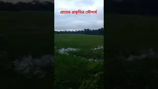 গ্রামের প্রকৃতির সৌন্দর্য #গ্রামের#প্রকৃতি #সৌন্দর্য beautiful weather