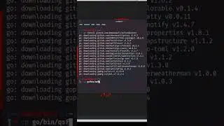 How to install qsfuzz in Kali Linux#shorts