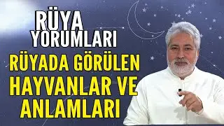 Rüyada görülen hayvanlar ve anlamları! Mehmet Emin Kırgil rüya yorumları...