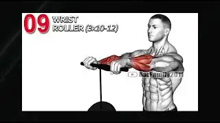 Exercises to Get Bigger Arms (Forearm, Bicep, Tricep)