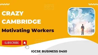 Cambridge IGCSE Business 0450 - Motivating workers