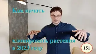 [151] Как начать клонировать растения в 2023 году. Микроклональное размножение с нуля. Советы