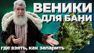 Веники для бани. Когда и как?//Живая Баня Иван Бояринцев