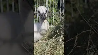 Принимаем солнечные ванны 