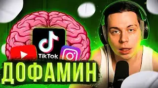 ФРАМЕ ТАМЕР Про ЗАВИСИМОСТЬ и ДОФАМИН / Нарезки, психология, frame tamer / ХАЗЯЕВА ВОТЧ