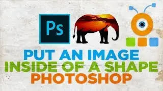 How to Put An Image Inside of a Shape in Photoshop