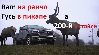 Отдали Авто Ру в тест новый Dodge Ram 1500 и вот что из этого получилось...