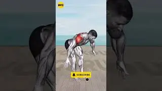 ➜ Transform Your Midsection ➜ Standing Abs Workout for Men Home Edition Exercise #3