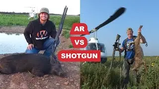 Heli Hogs and Coyotes - Shotgun vs AR