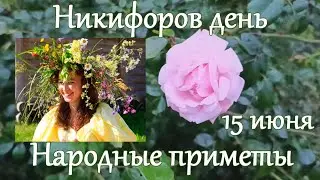 15 июня. Никифоров день Народные традиции и приметы.