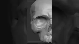 Skull practice in zbrush